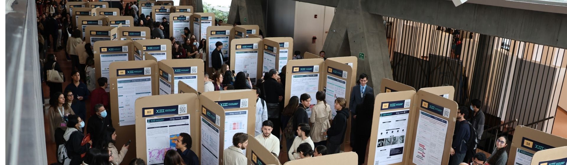 Cuando investigar también significa transformar: así fue el XIII Encuentro Conjunto de Investigadores