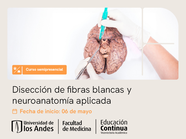 Disección de fibras blancas y neuroanatomía aplicada