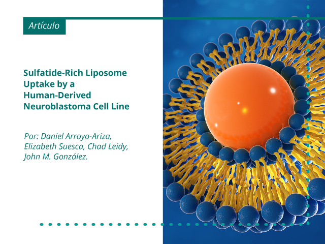 Sulfatide-rich liposome uptake by a human derived neuroblastoma cell line