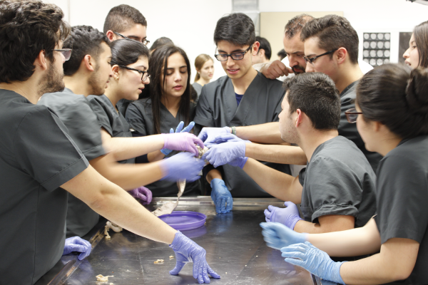 Alumnos de la Facultad de Medicina durante una de las clases en el Laboratorio de Anatomía de la Universidad de los Andes