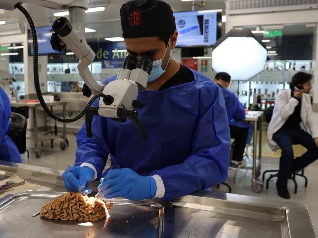 Primer curso en Disección de fibras blancas y Neuroanatomía aplicada en Colombia: un hito para las Neurociencias. 