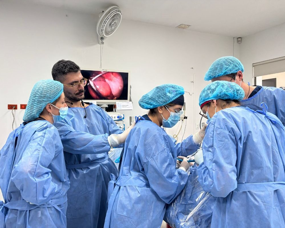 Modulo práctico dirigido por el Dr. Federico Leone