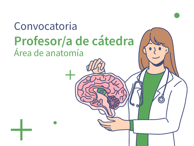 Convocatoria Profesor de Cátedra