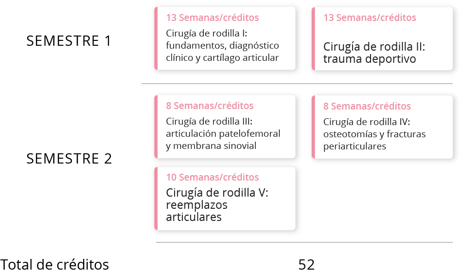 Plan de estudios Entrenamiento avanzado en cirugía de rodilla