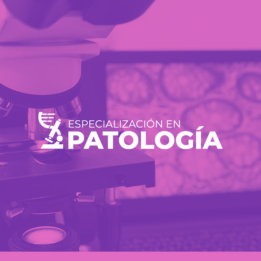 especializacion-Patologia